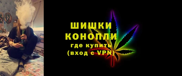 дурь Сатка