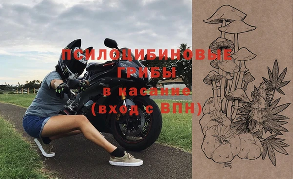 амф Белокуриха